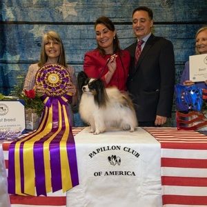 Meet your Posher, Annette